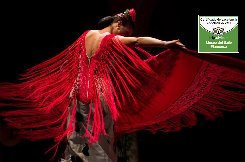 Museo del Baile Flamenco de Cristina Hoyos