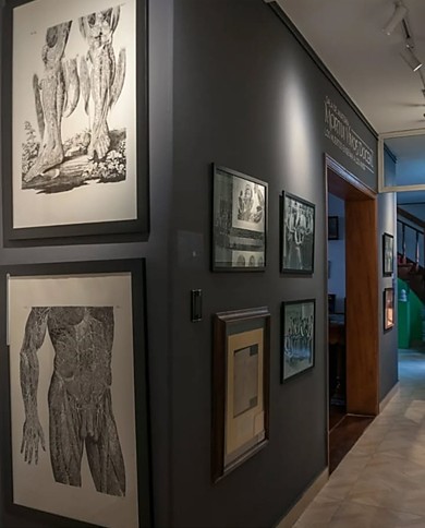 Museo de Historia de la Medicina Ricardo Rueda González