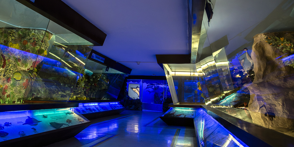 Museo del Mar
