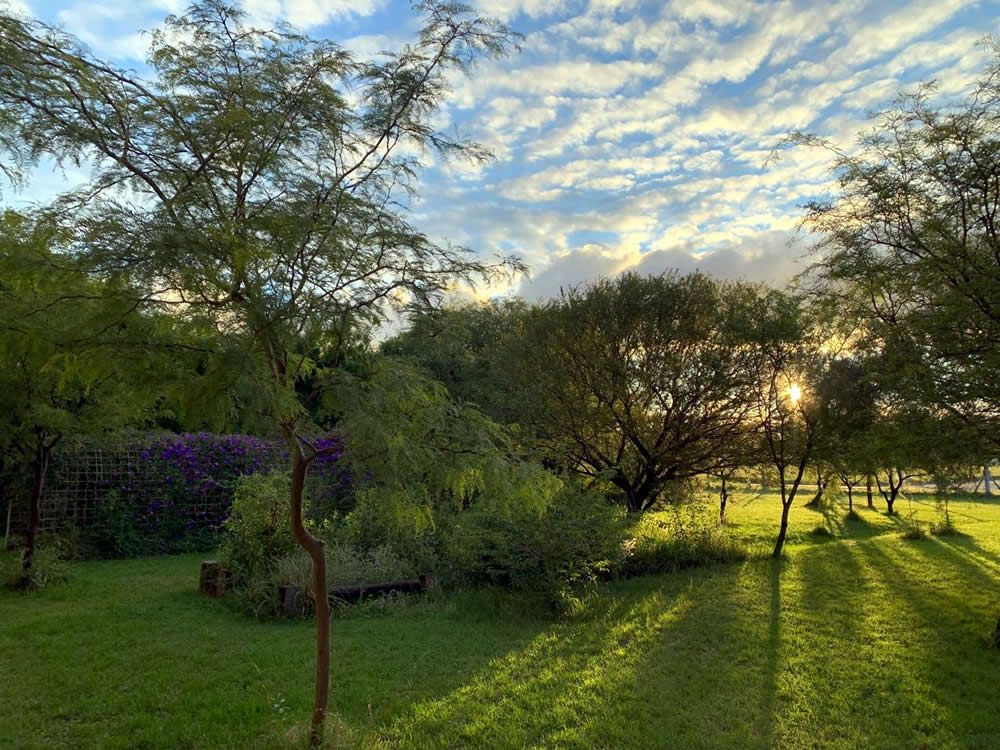 Archivo Grafico y Museo Histórico de la ciudad de San Francisco y la Región