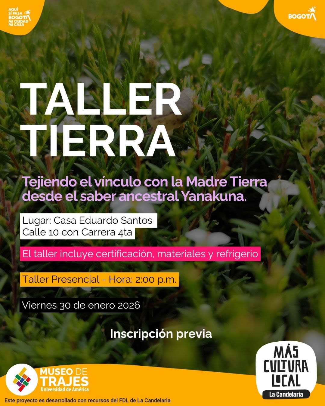 Taller Tierra