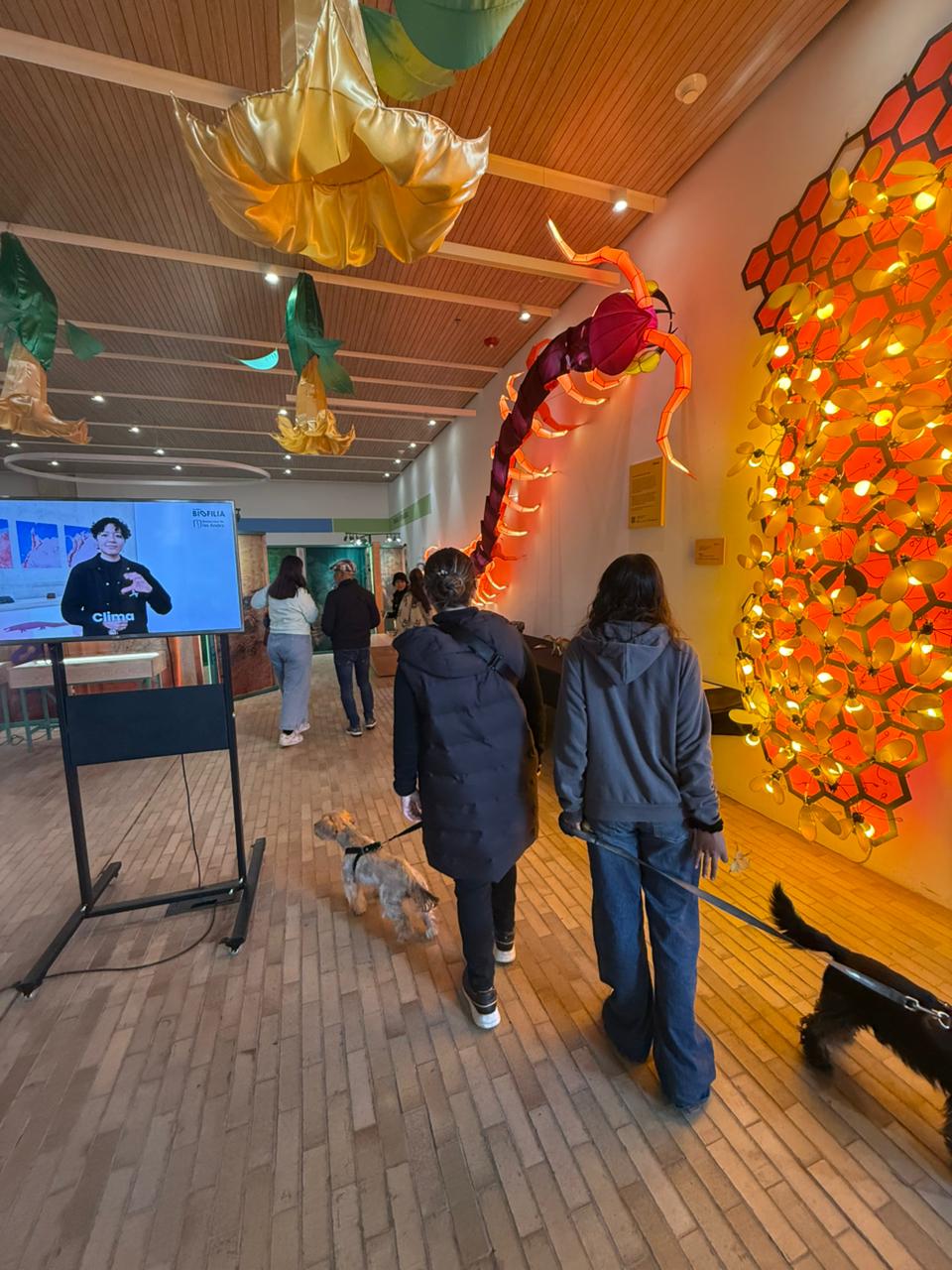 Centro de Bienvenida