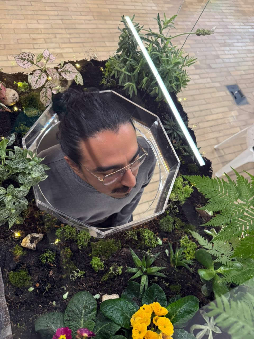 Bogotónica- Ecología sonora