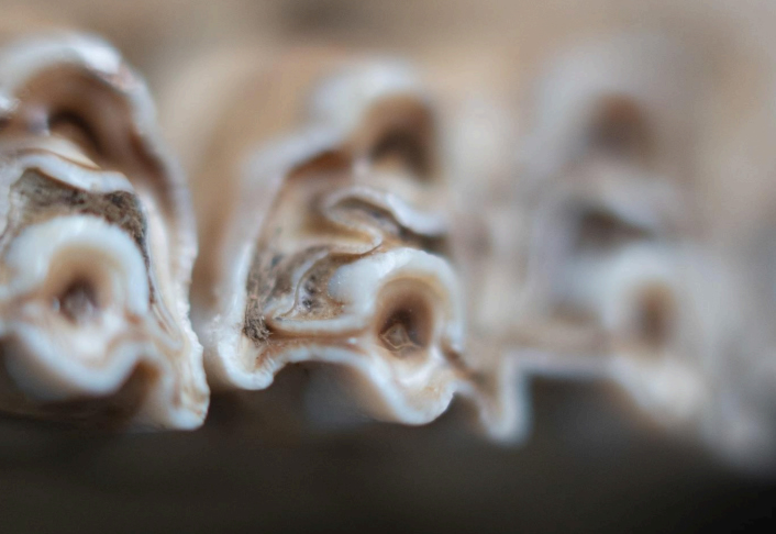 Ambra Castagnetti- Pánico efímero